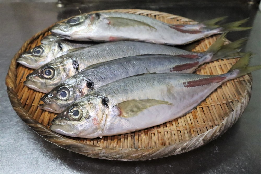 子どもに魚を食べてもらいたい 焼き魚 をキレイに食べる方法とコツを検証 フードメッセンジャー 糸井 朱里 食オタmagazine 食のオタクによる食のオタクのためのマガジン 食オタマガジン